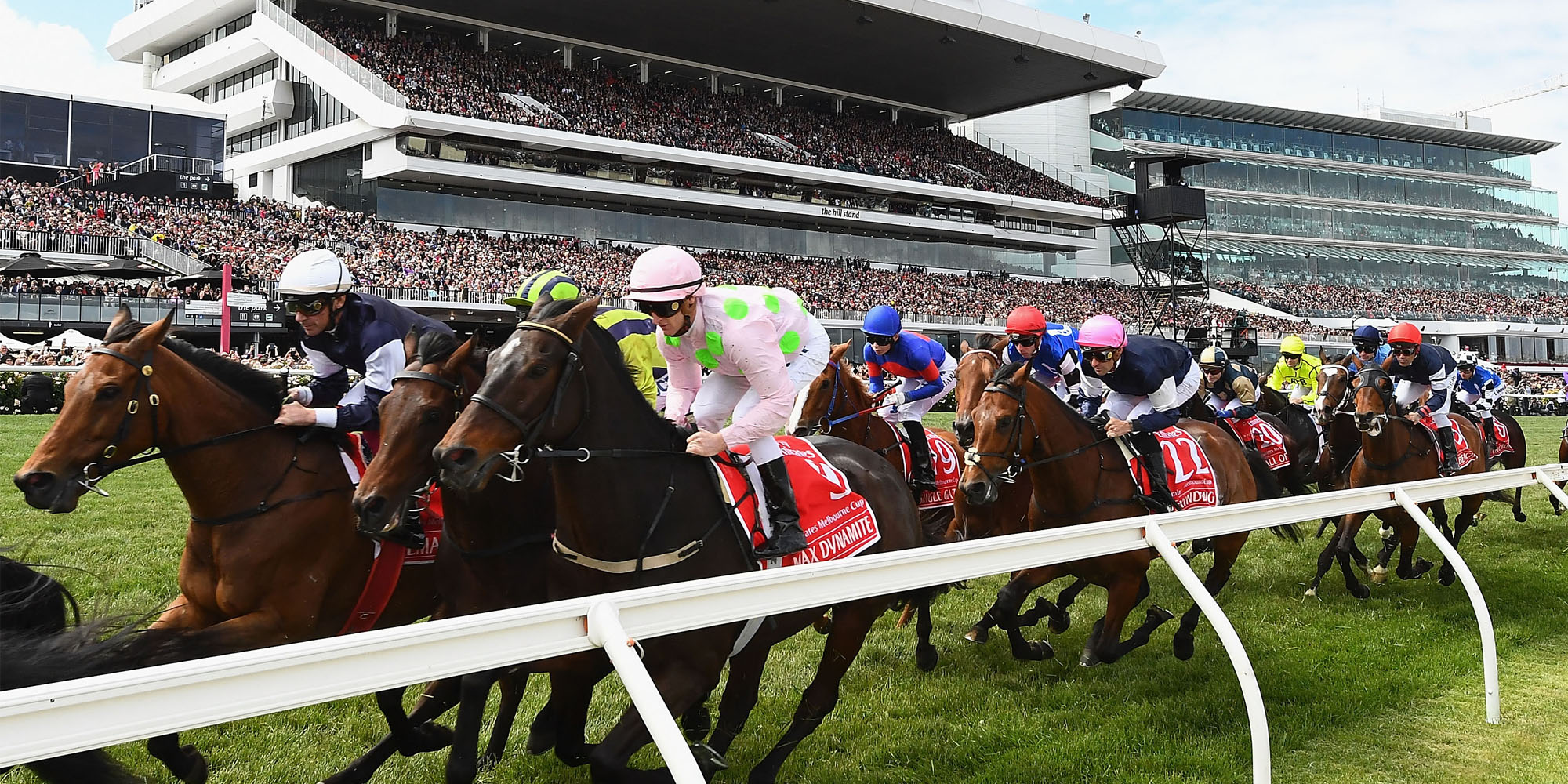 Area Manager : The Melbourne Cup Carnival